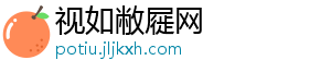 视如敝屣网